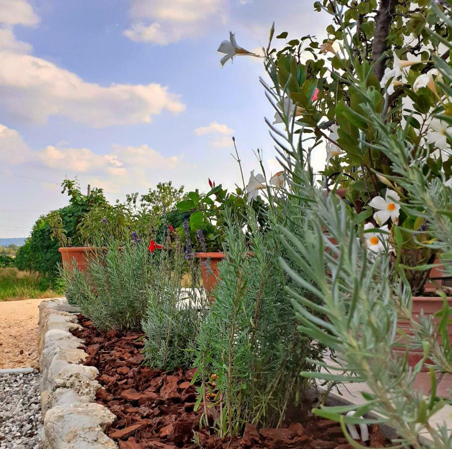 Le Vigne Di Annalisa Sweet Relax In Unesco Prosecco D.o.c.g. *
